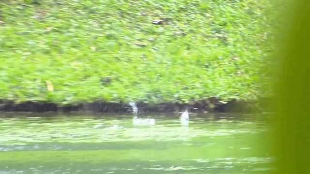 Water Skip Challenge | Aphibarnrat, Kapur and Ikeda смотреть онлайн