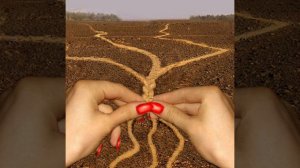 Судьба  (Евгений  Путилов)