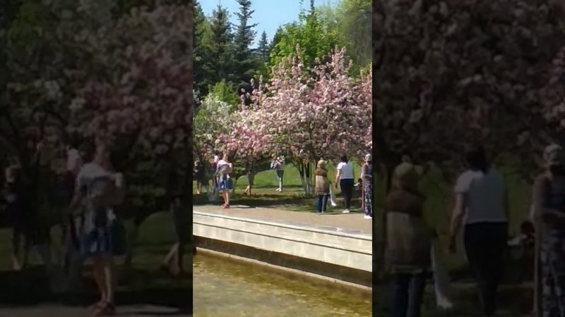 fontan отражение фонтан