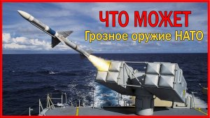 Ракета RIM 7 Sea Sparrow: краткий обзор!