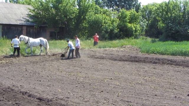 Жизнь русского крестьянина. Плуг, лошадь, казак смотреть онлайн