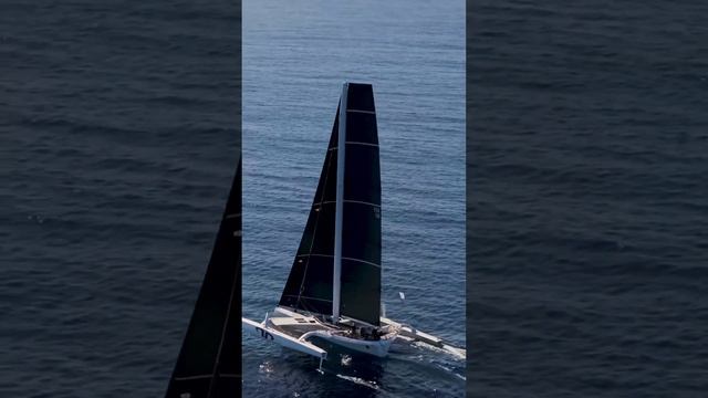 ARGOOOO ???Multihull Line Honours winner of the 2024 RORC Transatlantic Race! #sailing #yachting