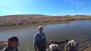 Проект "Аренда водоёма" 54 (ДР) silver carp