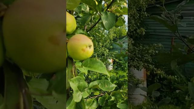 Про фокус внимания
