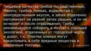 Плютей олений Pluteus cervinus  Лечебные свойства  Химический состав