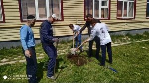 Экологическая акция по посадке саженцев