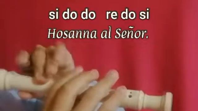 Santo es el Señor, mi Dios - Cantoral en flauta смотреть онлайн