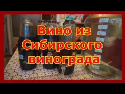 Вино из винограда изабелла проще некуда