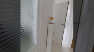 голодный собака