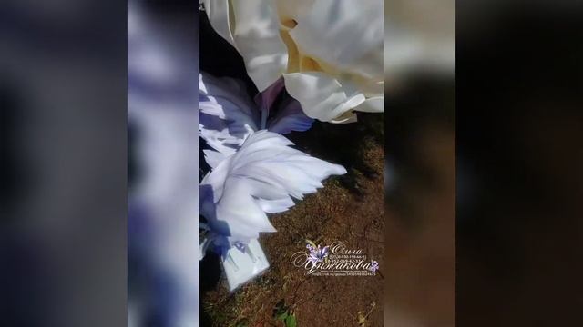 Дарим подарок!)) Для одного из наших подписчиков  в ВКонтакте. 28 июля 2021 года. смотреть онлайн