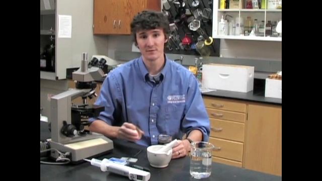 Нозематоз. Как его определить и бороться с ним? Университет Флориды