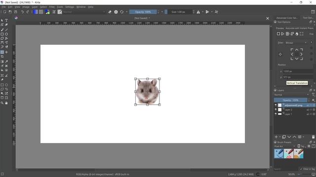 Krita How To Center Image Tutorial