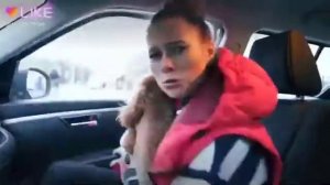 У меня шицу и 2 пикенеса