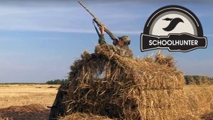 Охота на вяхиря