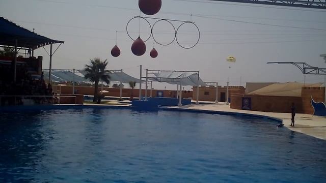 SEALANYA - Seapark&Dolphinpark смотреть онлайн