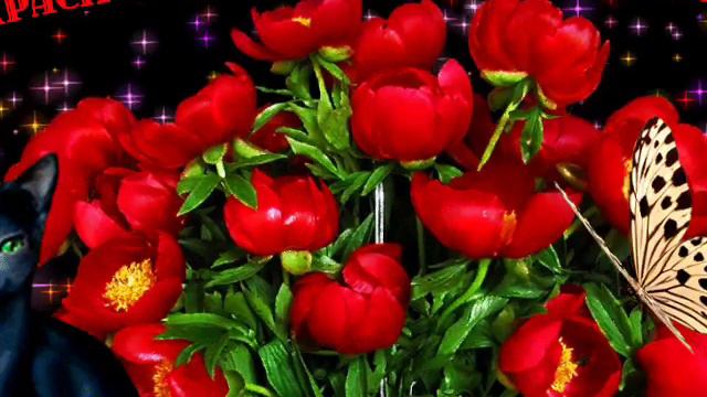 Добрый вечер вам Друзья!!! смотреть онлайн