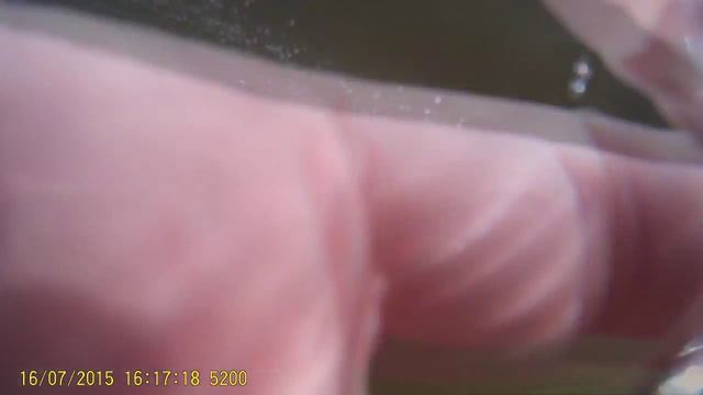 Поездка в Алоль смотреть онлайн