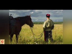 Сказка дикого поля.