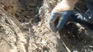 В этой яме 100 кг меди