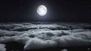 СЛУШАТЬ КОРАН КАЖДУЮ НОЧЬ || КОРАН ПЕРЕД СНОМ, ЗАСЫПАЙТЕ СО СПОКОЙНЫМ СЕРДЦЕМ