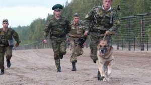 Граница Агутин