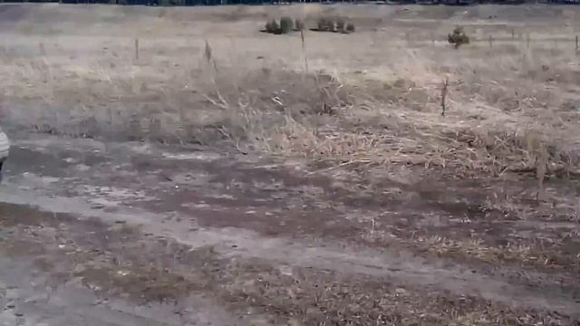 Шевроле Трекер