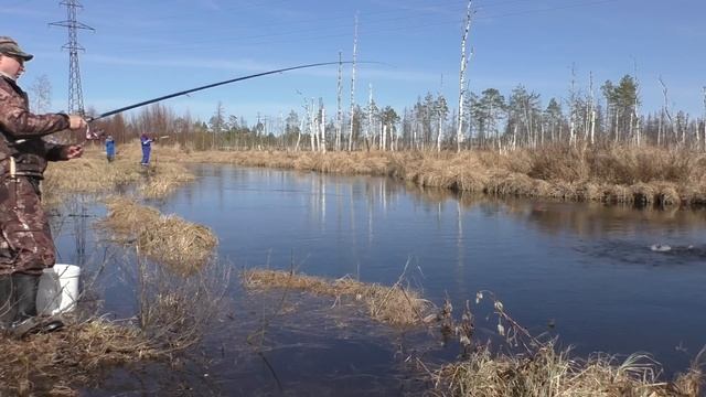 Мешок рыбы за 2 часа с РУЧЬЯ на болоте!!! Тайга, Сибирь, МИКРО-РЕЧКА КИПИТ от рыбы!! Рыбалка 2023 г
