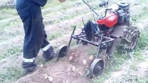 Культиватор тарпан и грохотная копалка