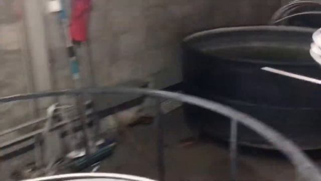 Производство гофрированной нержавеющей трубы DISPIPE DN20 смотреть онлайн