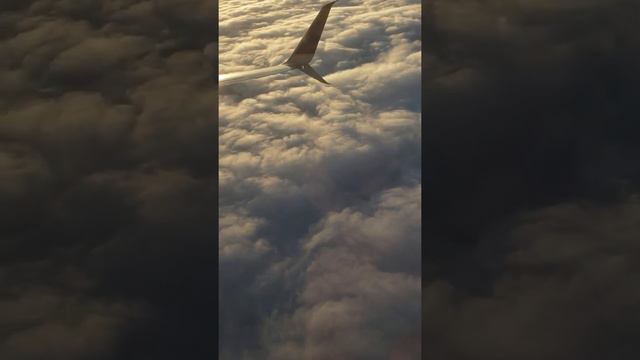 FLYING WITH FLUTE смотреть онлайн