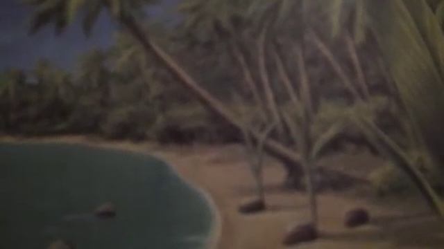 Плоды кокосовой пальмы смотреть онлайн