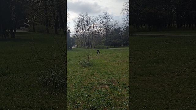 Video.Guru_20240411_160654587 смотреть онлайн