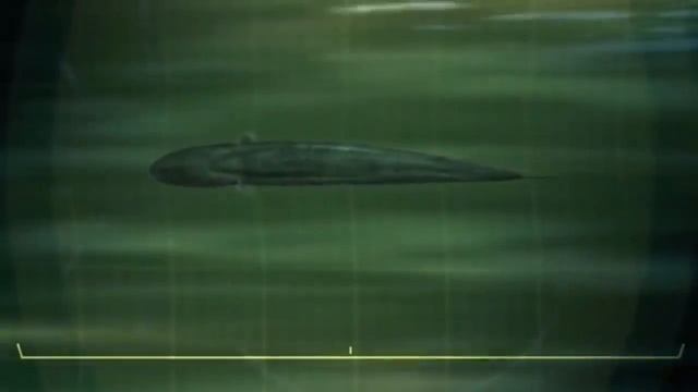 Его боятся даже крокодилы… Электрический угорь – настоящий речной монстр! смотреть онлайн