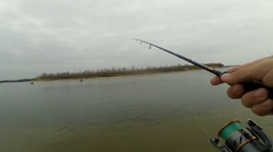 РЫБАЛКА НА ДОНУ. ОТВОДНОЙ ПОВОДОК РУЛИТ