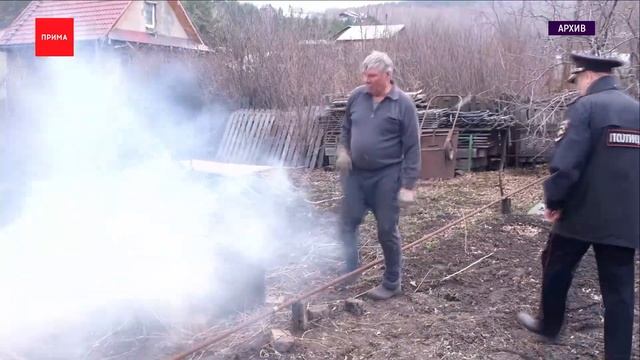 Жарить шашлыки на даче будет проще смотреть онлайн