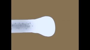 Гистогенез костной ткани  Гистология