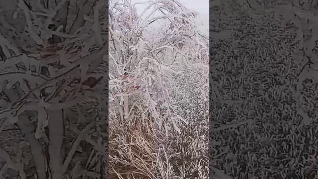 17 декабря 2023 г..mp4 смотреть онлайн