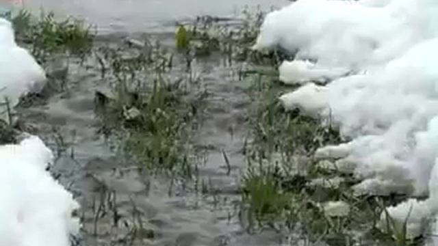 снег в начале мая смотреть онлайн