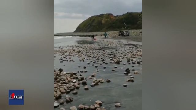 На Сахалине жители мешками собирают морской деликатес смотреть онлайн