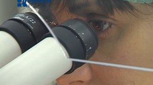 экстракорпоральное оплодотворение