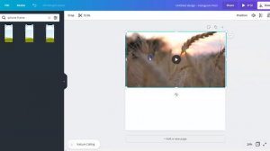 How to make videos play on multiple frames in canva