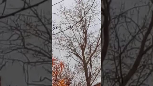 #Что Вы говорите?!