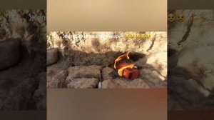 Ужасная авария