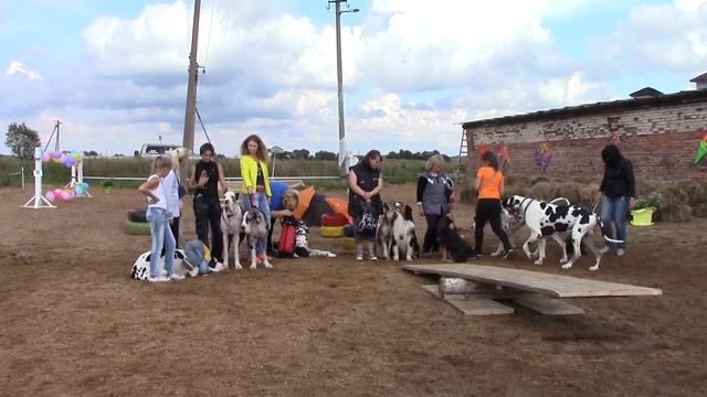 Награждение трассы с собаками праздника"ОСЕННИЙ МАРАФОН" - лошади против собак))) в У смотреть онлайн