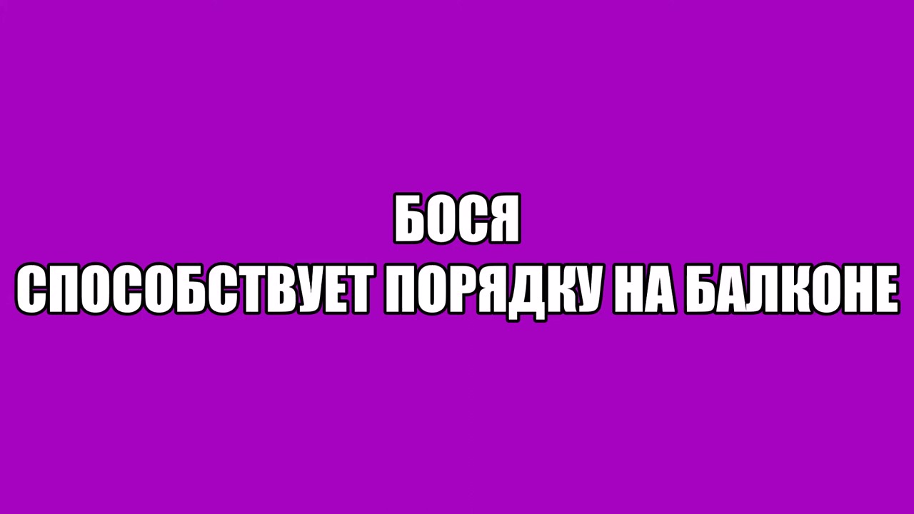Маленький котенок Бося помогает расхламить балкон