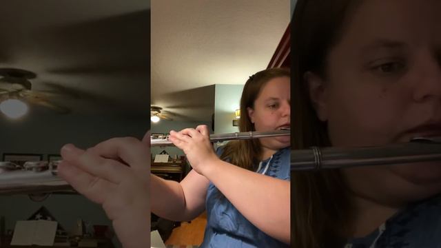 HS Flutes смотреть онлайн