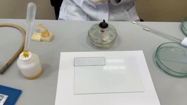 Виготовлення препарату "Висяча крапля" / Hanging drop technique смотреть онлайн