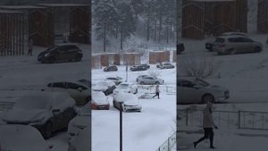 Ужас на дороге в Зеленых Горках в Томске #1