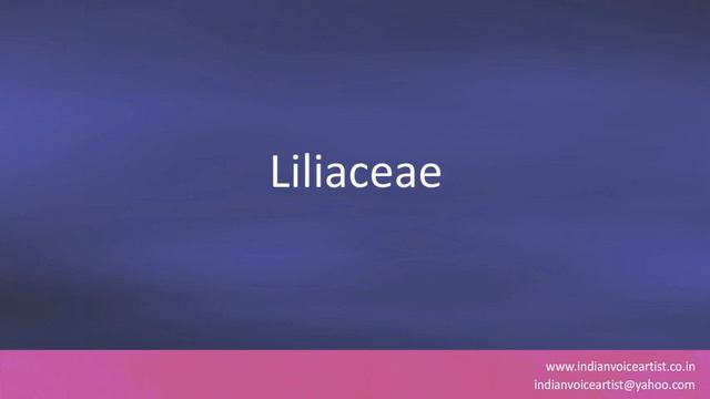 Pronunciation of the word(s) "Liliaceae". смотреть онлайн