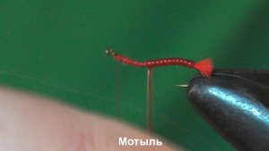 Мотыль,личинка комара